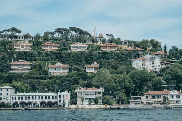 Conjunto de casas modernas escalonadas em uma colina densamente arborizada.
