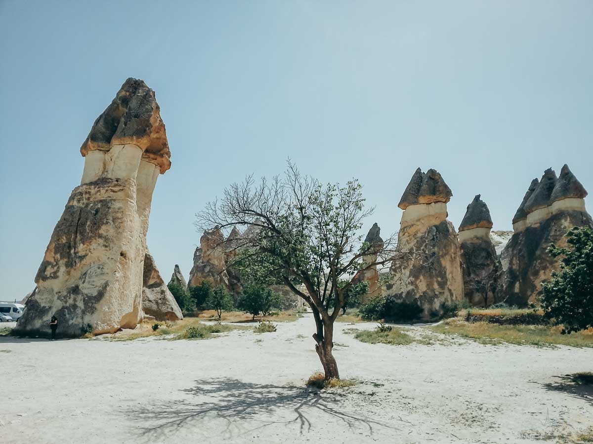 arvore-isolada-paisagem-pasabag-turquia Árvore solitária em meio às formações rochosas de Pasabag.