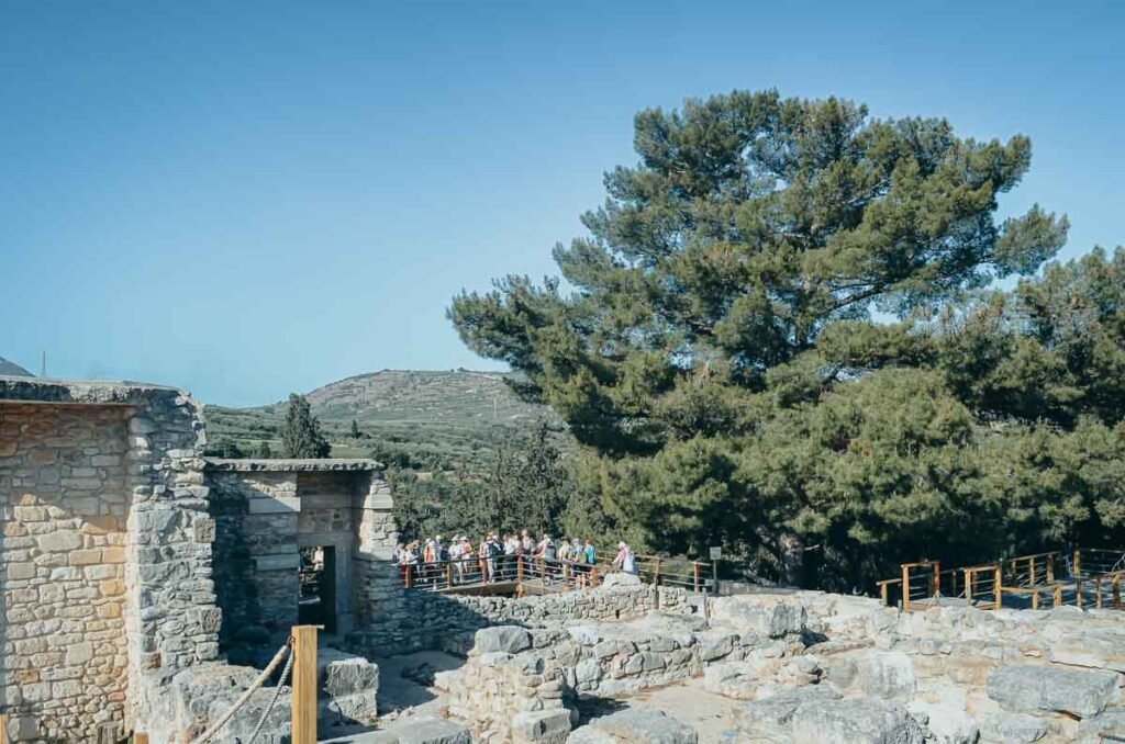 Passarela de madeira com visitantes entre muralhas de pedra antigas e pinheiros no Palácio de Cnossos.